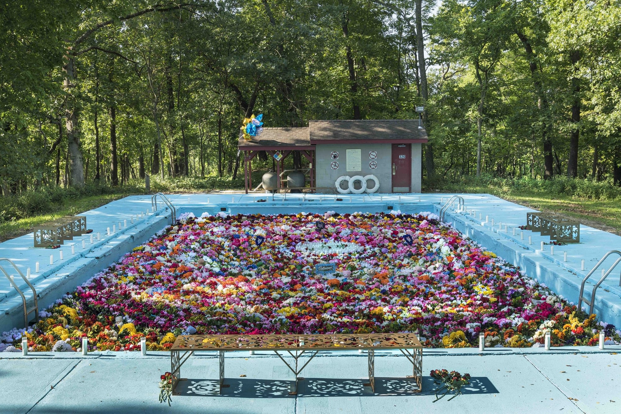 A blue swimming pool is filled with colorful flowers. Trees stand in the background and a small gray structure. There are candles and flowers in the foreground resembling an altar.